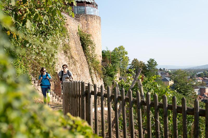 Landhotel Kauzenberg Bad Kreuznach Εξωτερικό φωτογραφία